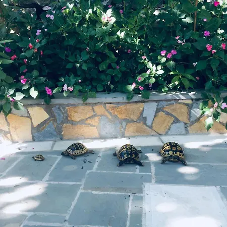 Kore Maison d'hôtes Gjirokastër