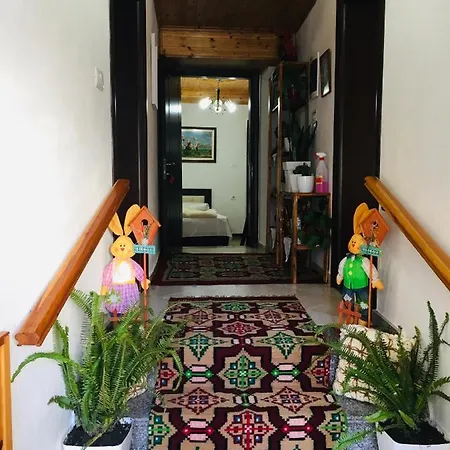 Kore Penzion Gjirokastër