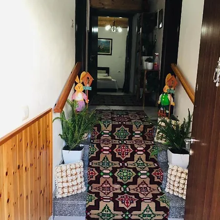 Casa de hóspedes Kore 4*